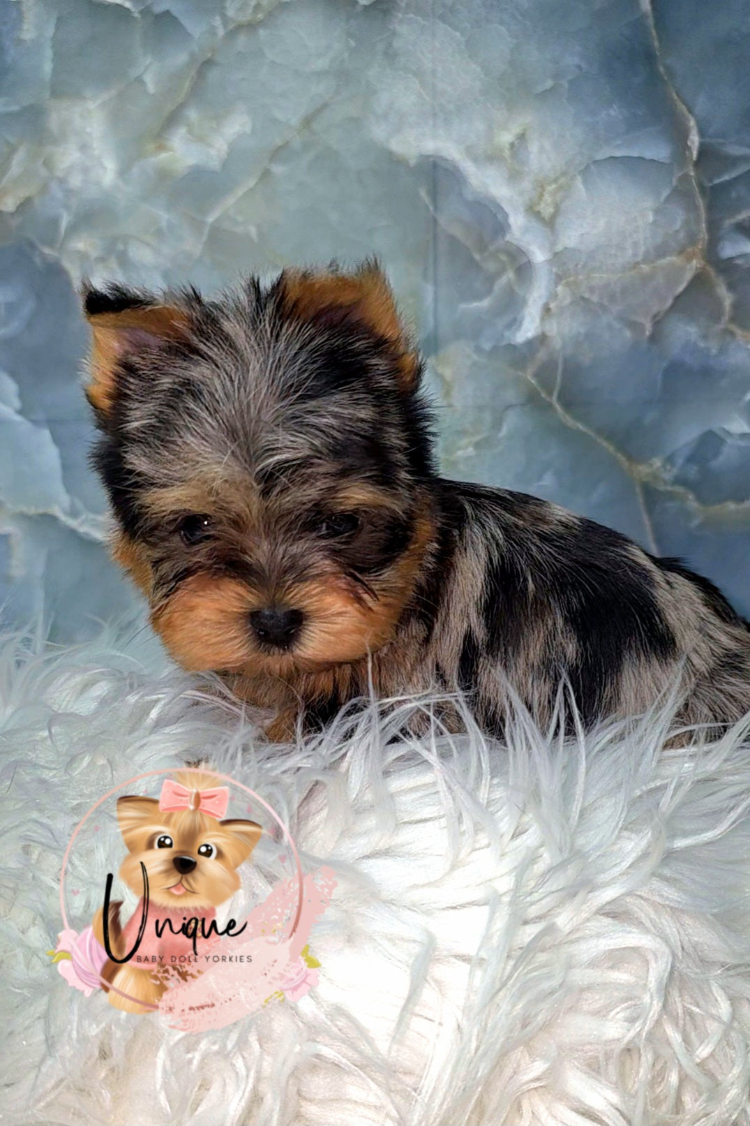 Skittles-Reserved